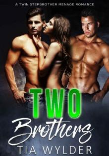 Two Brothers: A Twin Stepbrother Ménage Romance Read online