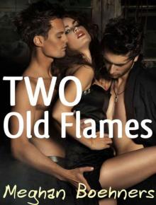 Two Old Flames (MMF Menage Erotica) Read online