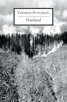 Vineland Read online