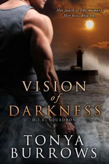 Vision of Darkness (D.I.E. Squadron Book 1)