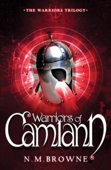 Warriors of Camlann Read online