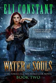 Water of Souls Read online