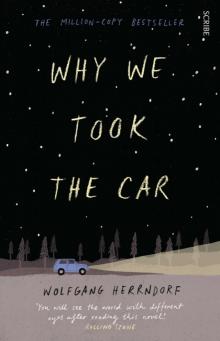 Why We Took the Car Read online