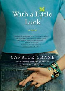 With a Little Luck: A Novel Read online