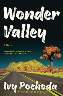 Wonder Valley Read online