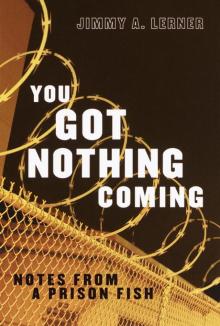 You Got Nothing Coming: Notes From a Prison Fish Read online