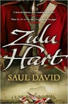 Zulu Hart Read online