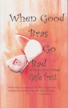02 - When Good Bras Go Bad Read online