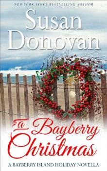 A Bayberry Christmas: A Bayberry Island Holiday e-Novella (The Bayberry Island Series Book 5) Read online