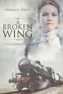 A Broken Wing (Kansas Crossroads) Read online