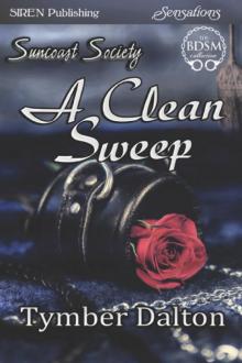 A Clean Sweep [Suncoast Society] (Siren Publishing Sensations) Read online