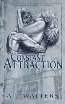 A Constant Attraction (Attraction #2) Read online