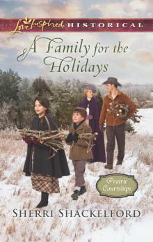 A Family for the Holidays Read online