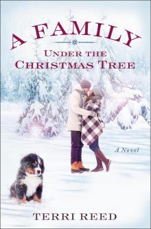 A Family Under the Christmas Tree Read online