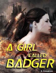 A Girl Called Badger (Valley of the Sleeping Birds) Read online