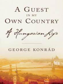 A Guest in my Own Country Read online