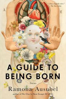 A Guide to Being Born: Stories Read online