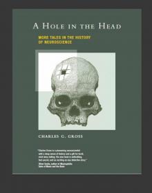 A Hole in the Head Read online
