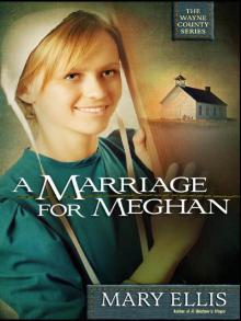 A Marriage for Meghan Read online