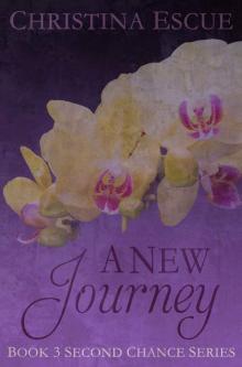 A New Journey (Second Chance #3) Read online