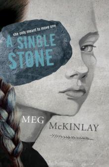 A Single Stone Read online