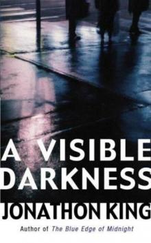 A Visible Darkness mf-2 Read online