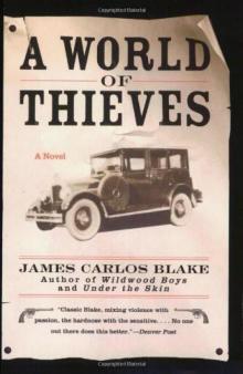 A World of Thieves Read online