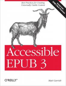 Accessible EPUB 3 Read online