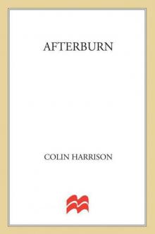 Afterburn: A Novel Read online