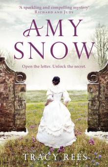 Amy Snow Read online