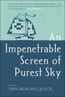 An Impenetrable Screen of Purest Sky Read online
