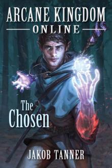 Arcane Kingdom Online: The Chosen (A LitRPG Adventure, Book 1) Read online