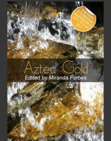 Aztec Gold Read online