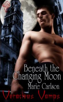 Beneath the Changing Moon