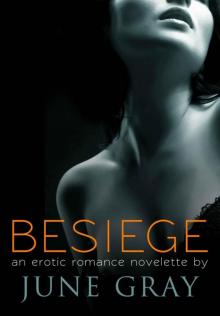 BESIEGE (DISARM Series #2) Read online