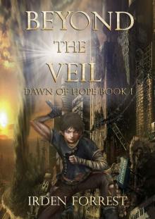 Beyond the Veil (Dawn of Hope, Book 1) Read online
