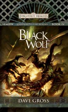 Black Wolf Read online