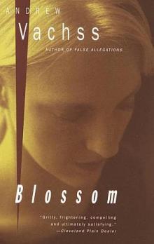 Blossom b-5 Read online