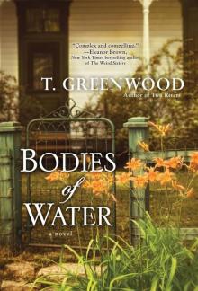 Bodies of Water Read online
