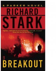 Breakout! Read online