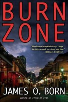 Burn Zone Read online
