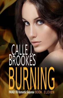 Burning (PAVAD: FBI Romantic Suspense Book 11) Read online