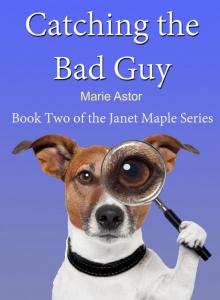 Catching the Bad Guy (Book Two) (Janet Maple Series) Read online