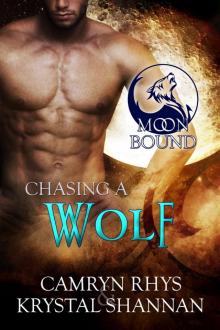 Chasing a Wolf: Moonbound Series, Book Four Read online