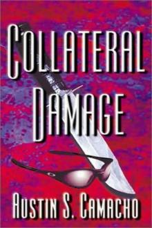 Collateral damage hj-2 Read online