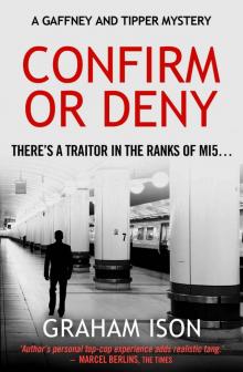 Confirm or Deny (Gaffney and Tipper Mysteries Book 2) Read online