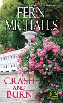 Crash And Burn Read online