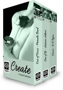 Create: A Cariad Romance Three Book Bundle (Cariad Collections) Read online