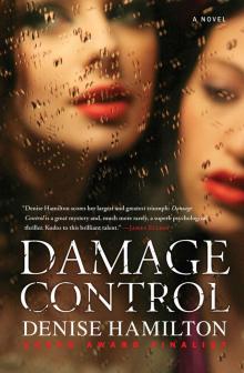 Damage Control: A Novel Read online