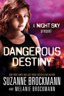 Dangerous Destiny: A Night Sky novella Read online